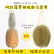 Women's thin spring, autumn and summer pineapple stockings