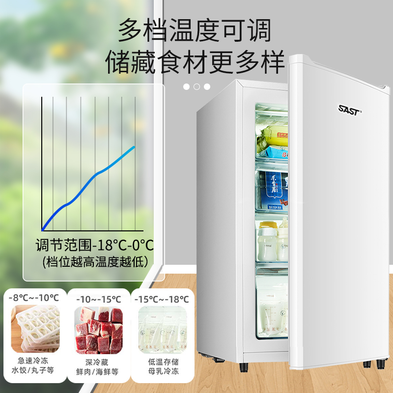 SAST/先科 BD-120立式冷柜全冷冻柜冰箱储奶冰箱小型侧开门抽屉式 - 图0