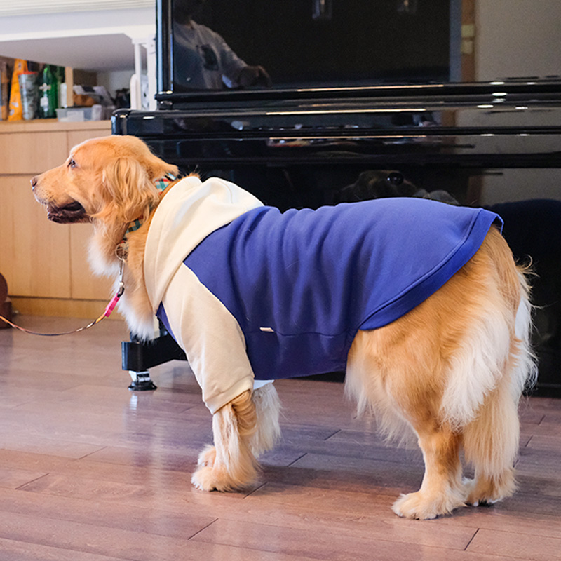 大狗狗衣服秋冬装金毛宠物冬天中型犬型犬萨摩耶拉布拉多卫衣冬季 - 图2