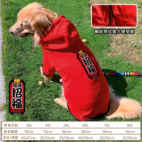 Золотой ретривер Big Dog Clothing Новый год осени и зимний латино -зимний Новый год.