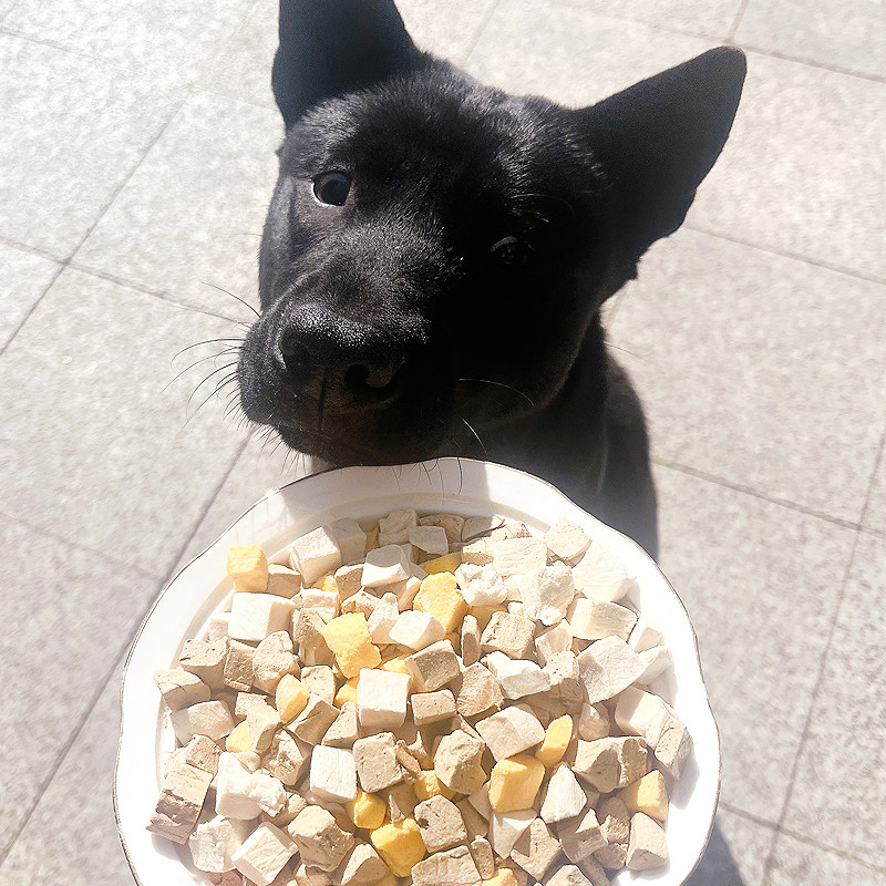 地狱厨房鸡小胸冻干小猫咪零食纯鸭胸肉狗狗增发训犬奖励腮磨牙,淘宝优惠券,粉丝福利购,淘宝优惠卷