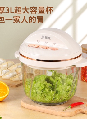 华生绞肉机家用搅肉机电动和面多