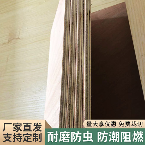 五合板10mm多层胶合板橱柜隔板木板背板画板切割包邮定制 - 图0