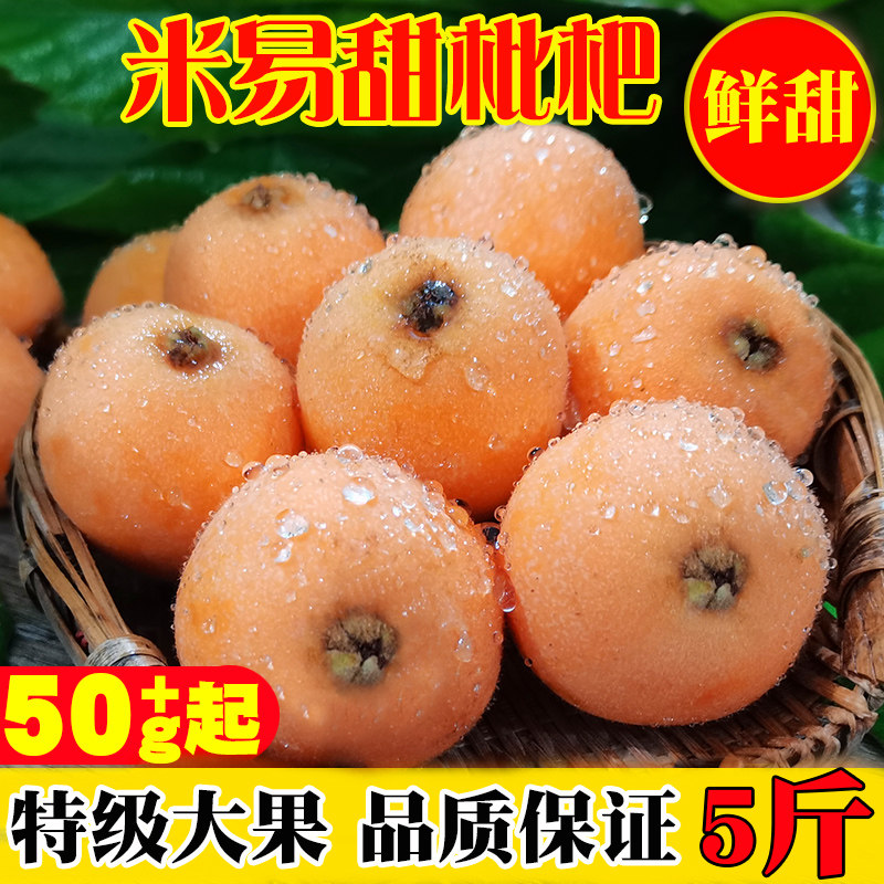 四川攀枝花米易特级枇杷大果甜琵琶新鲜孕妇整箱水果当季早钟现摘