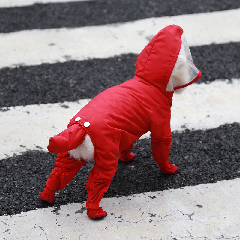 小狗狗雨衣四脚全包泰迪小型犬幼犬猫宠物雨披防水衣服春秋四季夏 - 图1