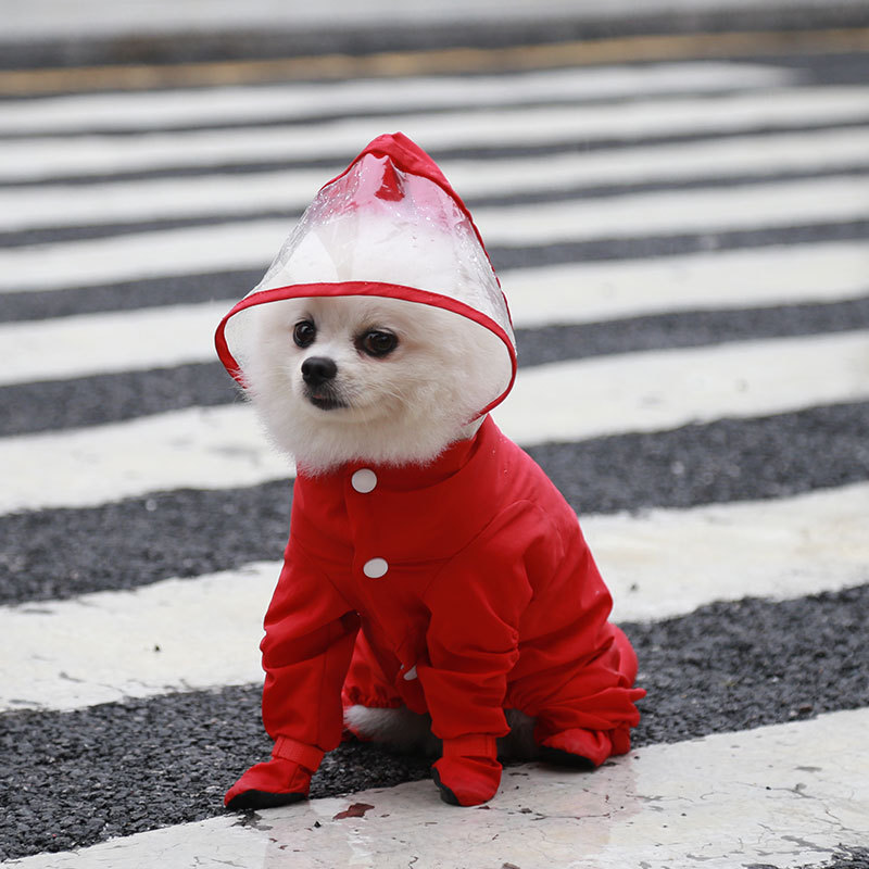 小狗狗雨衣四脚全包泰迪小型犬幼犬猫宠物雨披防水衣服春秋四季夏 - 图0