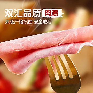 双汇午餐肉大水！到手10袋[40元优惠券]-寻折猪