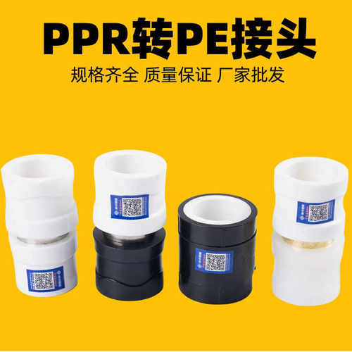PE转PPR铜活接转换接头活接头PB PERT转换接头PPR水管管件配件 - 图1