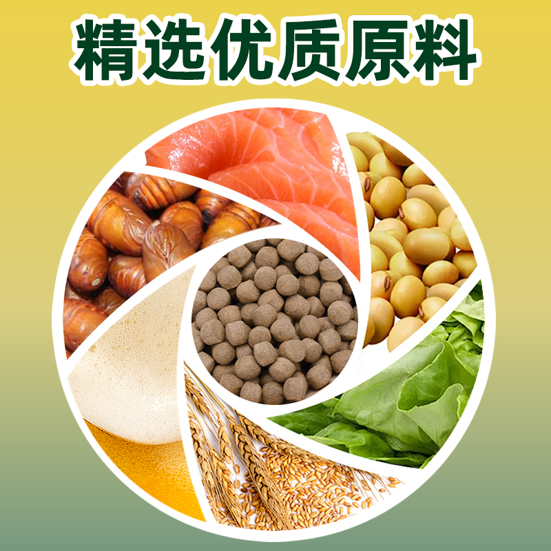 【实惠】神阳旗下鳞王锦鲤饲料育成锦鲤鱼饲料上浮颗粒锦鲤大包装,淘宝优惠券,粉丝福利购,淘宝优惠卷