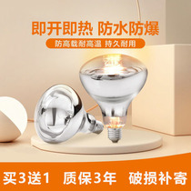 Apply Opoup Philips Beauty Cherry Blossom Home Dressing Room Old Bath Bully Warm Special Light Bulb 275w