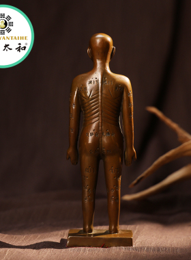 黄铜针灸穴位铜人全身穴位经络模型大诊所药店装饰扎针中医药医馆