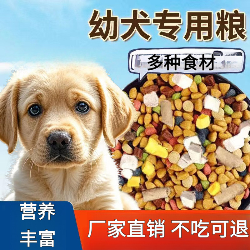 狗粮10斤装成犬幼犬通用型泰迪比熊金毛边牧中小型犬全价犬粮40斤,淘宝优惠券,粉丝福利购,淘宝优惠卷