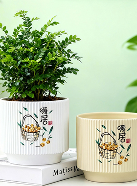 蝴蝶兰花盆陶瓷轻奢高级感家用客厅电视柜办公桌面装饰摆件绿植盆