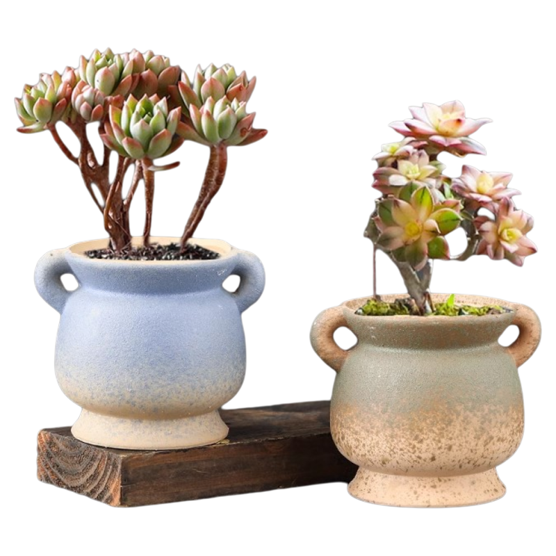 多肉花盆老桩陶瓷特价清仓大小口径复古多肉植物创意简约粗陶花盆,淘宝优惠券,粉丝福利购,淘宝优惠卷