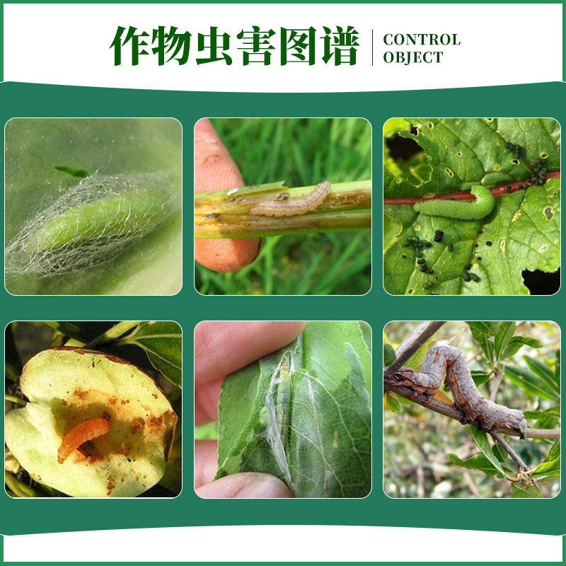 勇冠 立达腈14%虫螨茚虫威 虫螨 吊丝虫青虫棉铃虫小菜蛾 杀虫剂 - 图2