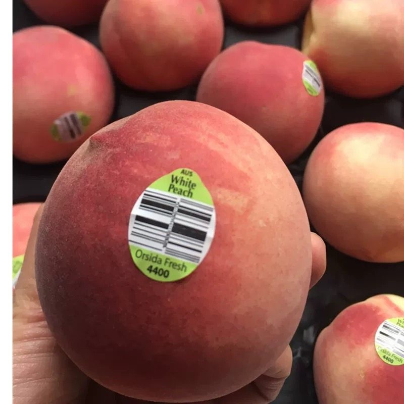 现货空运澳洲进口水蜜桃毛桃新鲜水果桃子公主桃时令新鲜水果顺丰,淘宝优惠券,粉丝福利购,淘宝优惠卷