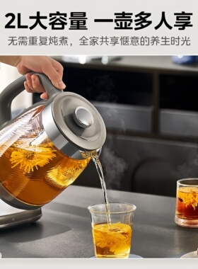 美的养生壶大功率电热水壶