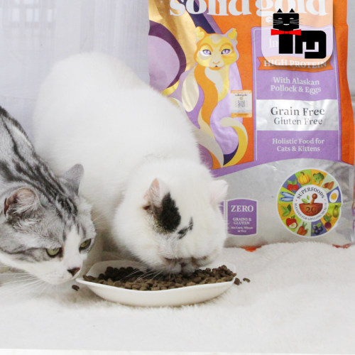 土猫宠物 美产Solid Gold素力高猫粮金装成幼猫主粮美毛鸡肉鳕鱼 - 图1