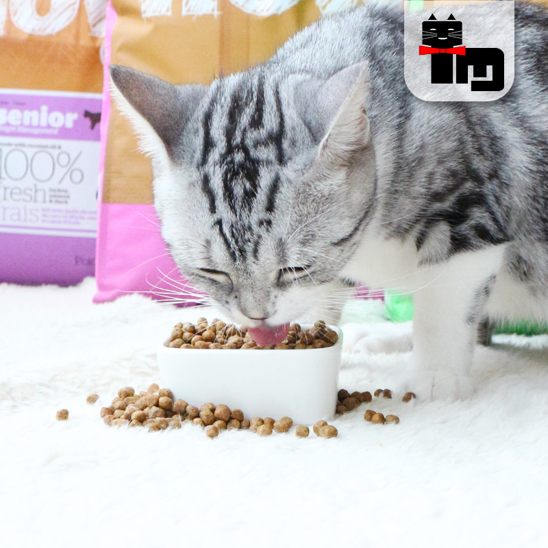 土猫宠物 加拿大进口百加世防伪 NOW天然无谷幼成老猫粮8磅<a href=