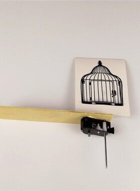 DIY视觉残留现象笼中鸟幼儿童小学生科普实验器材料包科教玩具K40