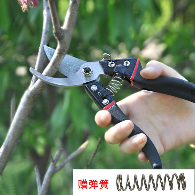 果树修剪刀园艺工具修剪树枝剪园艺剪刀花艺鲜花剪刀盆栽修枝剪枝_虎窝淘