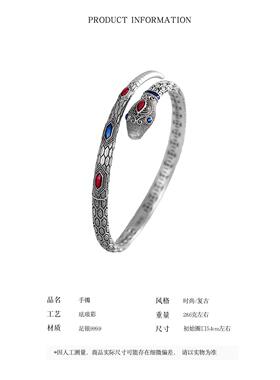 本命年生肖灵蛇足银护身吉祥
