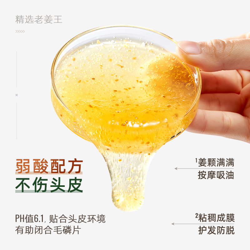 琴叶生姜滋润侧柏叶防脱发强根洗发水控油蓬松去屑止痒固发育发正 - 图2