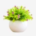 Mô phỏng cây xanh trồng trong chậu cây cảnh trong nhà đồ trang trí bàn trang trí mini hoa giả trang trí chậu mới Milan - Trang trí nội thất