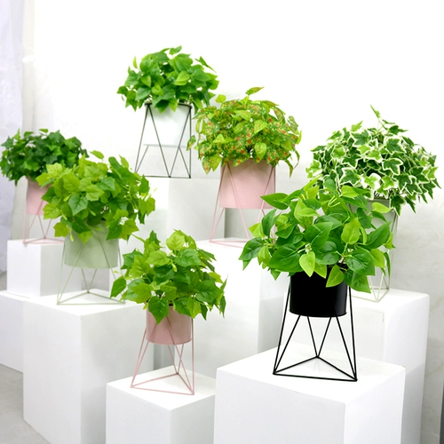 Ins nordic creative simulation plant unic art bottle coremer