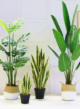 仿真植物金边虎皮兰落地绿植盆景家居室内装饰北欧大型假盆栽摆件