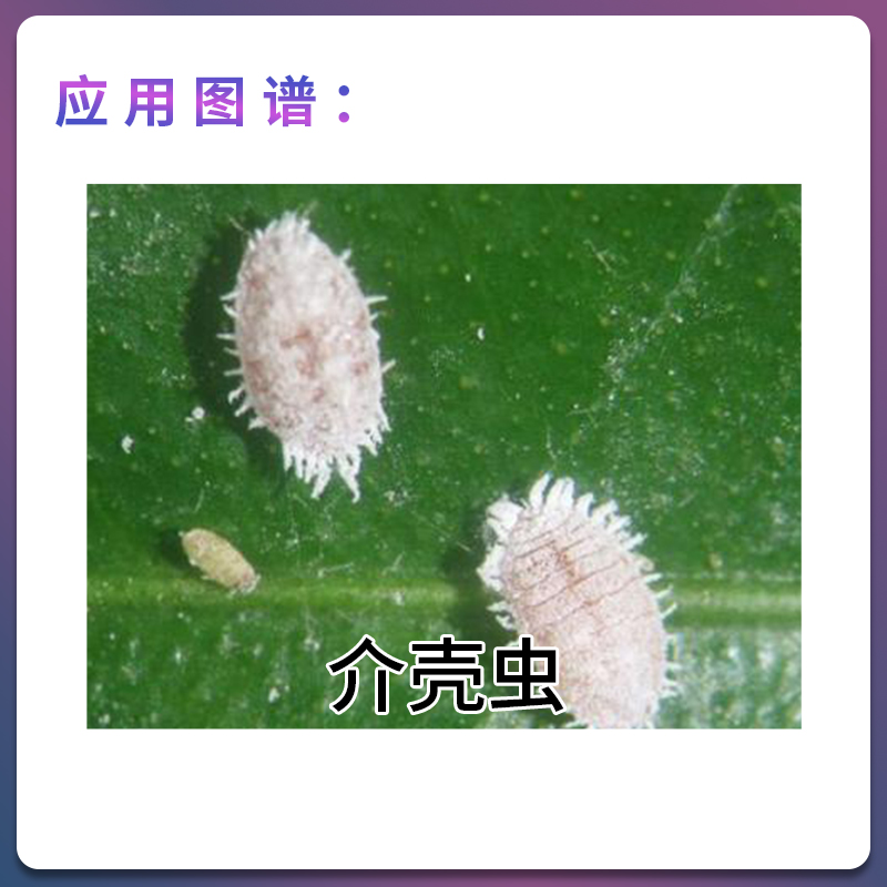 明德立达德朗阿维菌素·阿维螺虫乙酯柑橘红蜘蛛介壳虫农药杀虫剂-图2