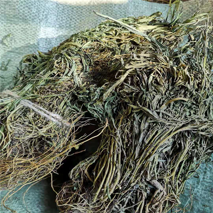 水黄连中药材 100克包邮 正品新货 水灵芝 鱼胆草 水黄莲 黄脚鸡 - 图2