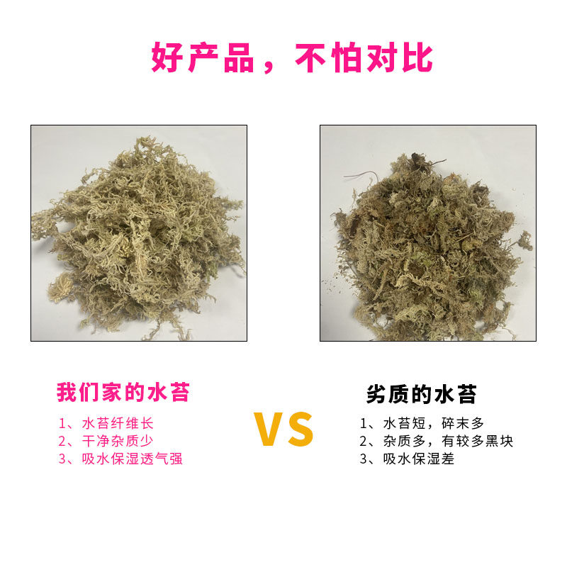 国产水苔贵州水苔一级水苔蝴蝶兰专用水苔多肉营养土无土栽培基质,淘宝优惠券,粉丝福利购,淘宝优惠卷