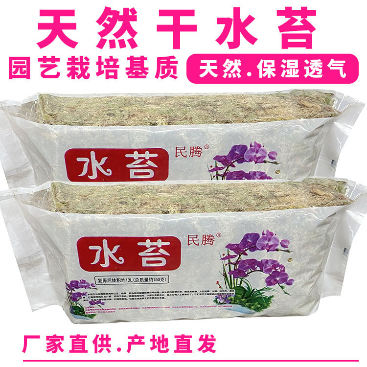 国产水苔贵州水苔一级水苔蝴蝶兰专用水苔多肉营养土无土栽培基质,淘宝优惠券,粉丝福利购,淘宝优惠卷