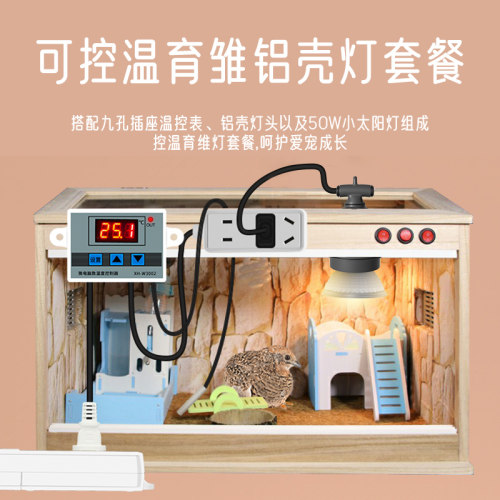 节能仔猪保温箱温控器恒温孵化箱开关芦丁鸡宠物鹌鹑乌龟取暖灯泡 - 图1