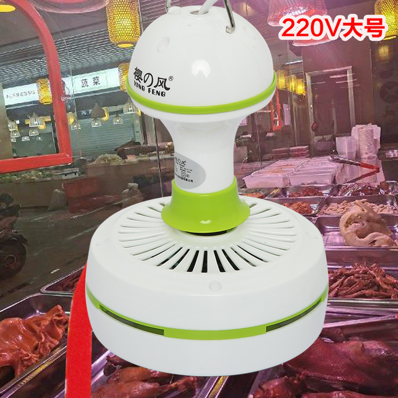 220V家用电大号小吊扇微风扇赶苍蝇驱蚊风扇熟食店免费送丝带 - 图1