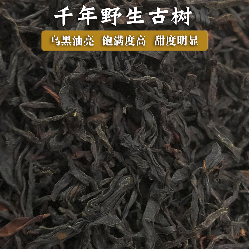 云南普洱茶千年野生古树红茶散茶镇沅千家寨2022年春野韵十足100g