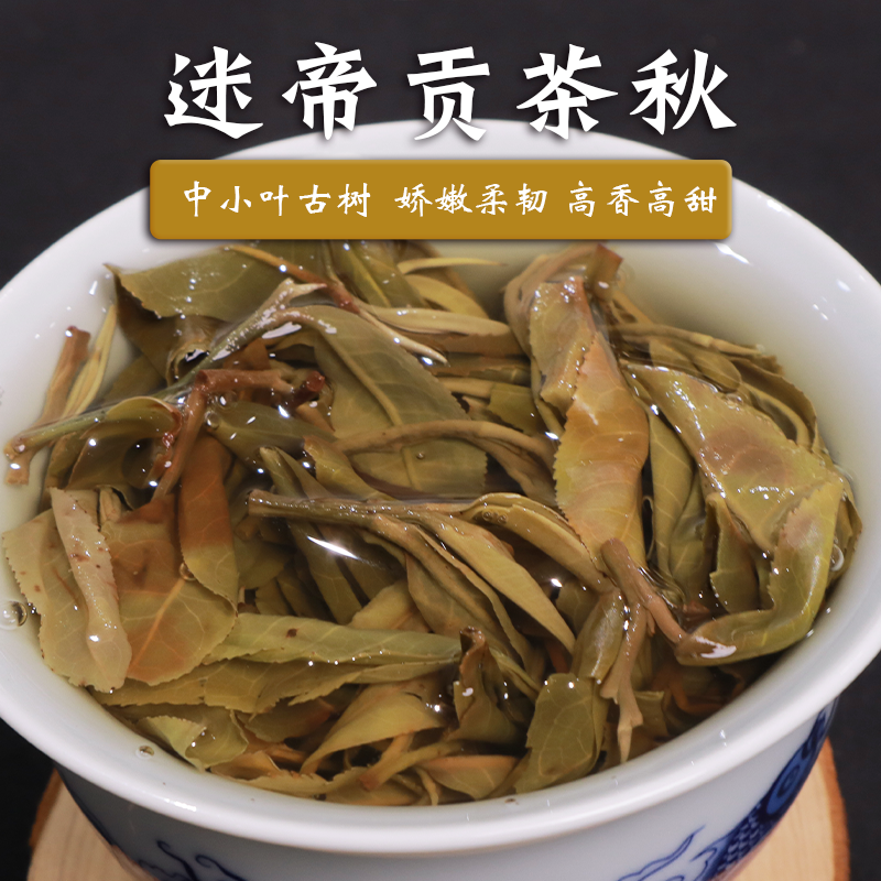 玉灯老人普洱茶生茶散装墨江新抚迷帝贡茶迷倒皇帝2021古树秋500g