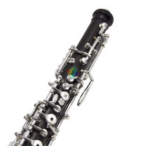 KARL LEISTER Clarinet KBO-500S African Umwood C Tune Clarinet