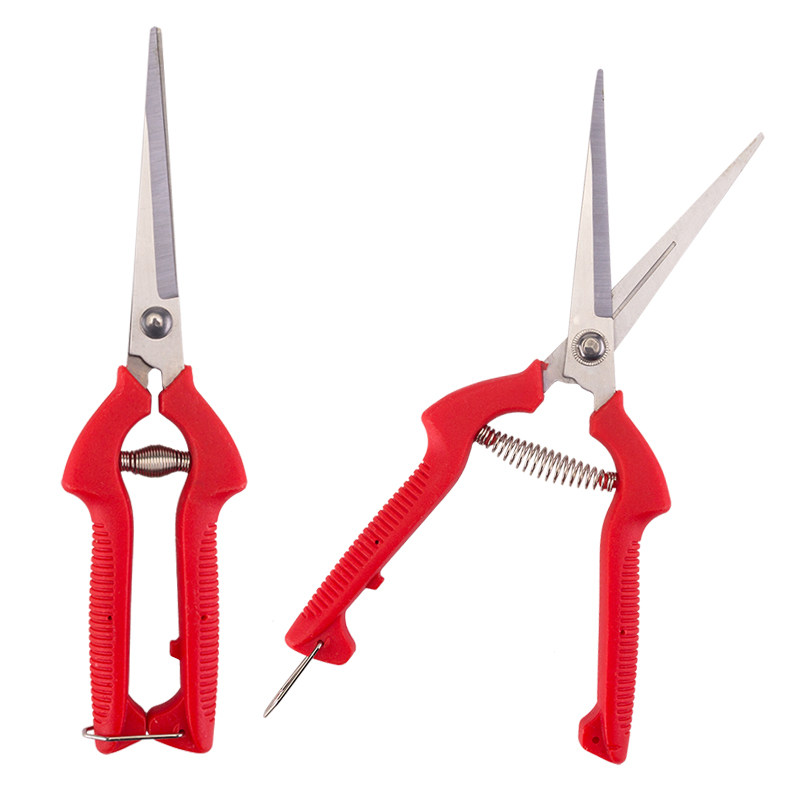 采果剪摘果不锈钢翘头剪刀稀果剪 修枝剪番茄剪园艺剪刀园艺工具,淘宝优惠券,粉丝福利购,淘宝优惠卷