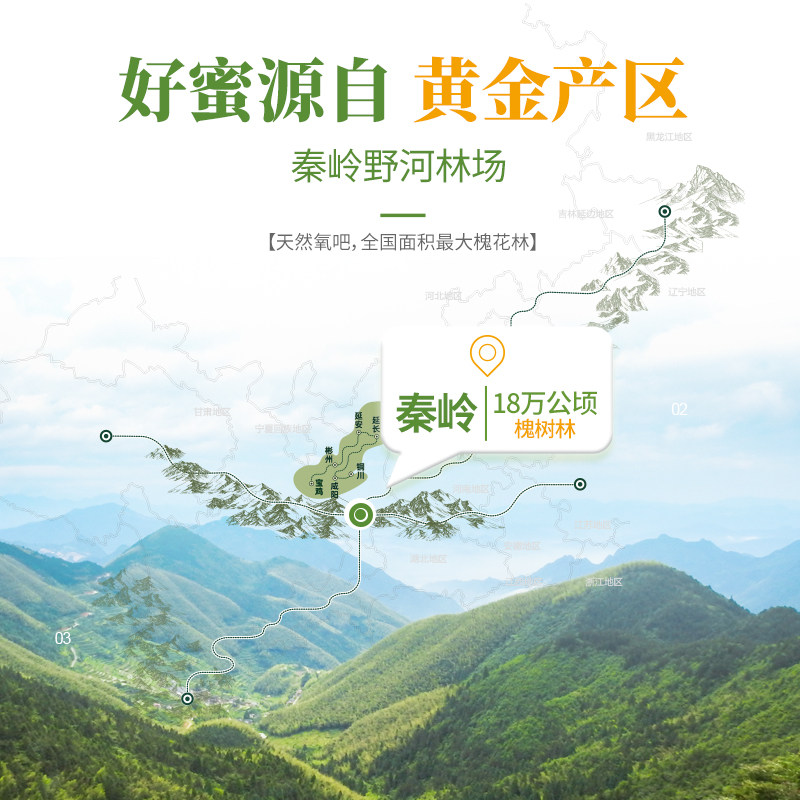 汪氏官方旗舰店枣花纯正组合洋槐蜜 汪氏食品蜂蜜