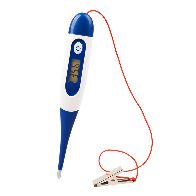 兽用体温温度计动物猪用电子体温计体温表牛羊测温精准肛门肛温计,淘宝优惠券,粉丝福利购,淘宝优惠卷