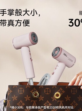 高速大风力，负离子不伤发