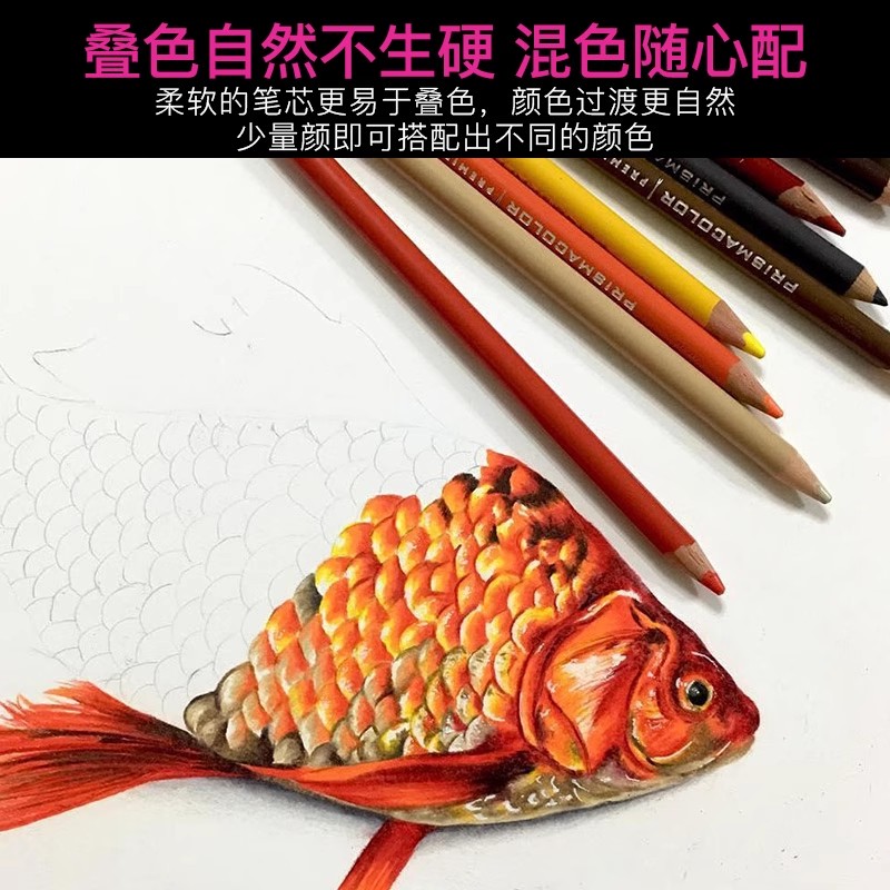 美国prismacolor三福霹雳马彩铅 24 48 72 132 150色绘画油性铅笔 - 图2