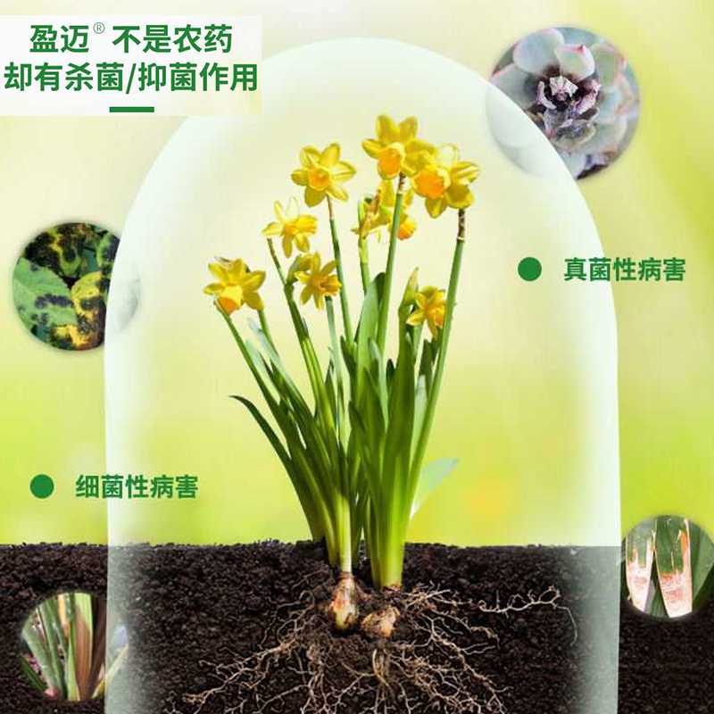 盈迈美国进口亚磷酸钾花肥生根促花防病害杀菌抑菌肥料营养液 - 图1