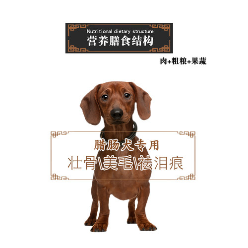 腊肠犬专用狗粮10kg成犬幼犬通用20斤装小型犬贡维狗粮 - 图3