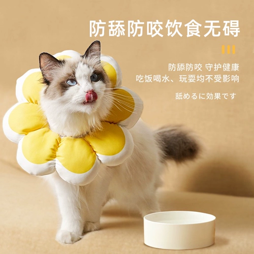 Кошачья воротник Элизабет Круг собачья анти -ненормальная горькая сет