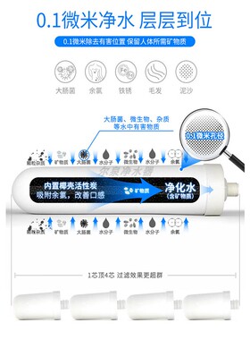 通用史蒂夫皇鼎史帝夫净水器滤芯陶瓷滤芯大牙阻垢除氯家用210mm
