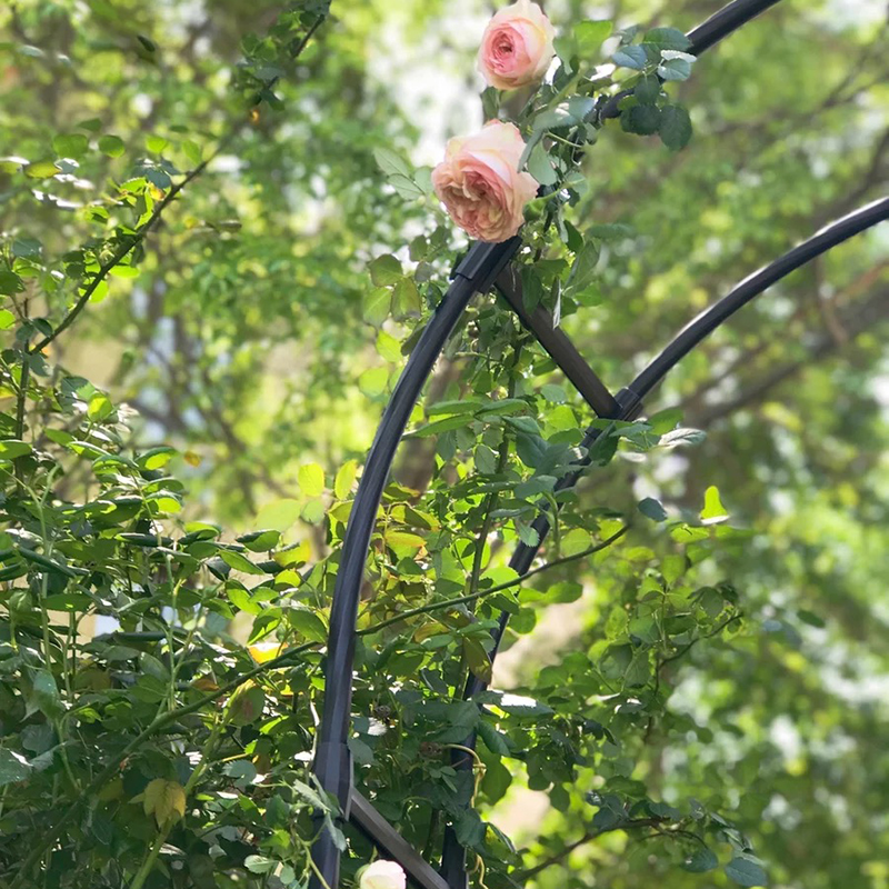 欧式庭院拱门花架爬藤架室外花园园艺风车茉莉攀爬月季拱形花支架