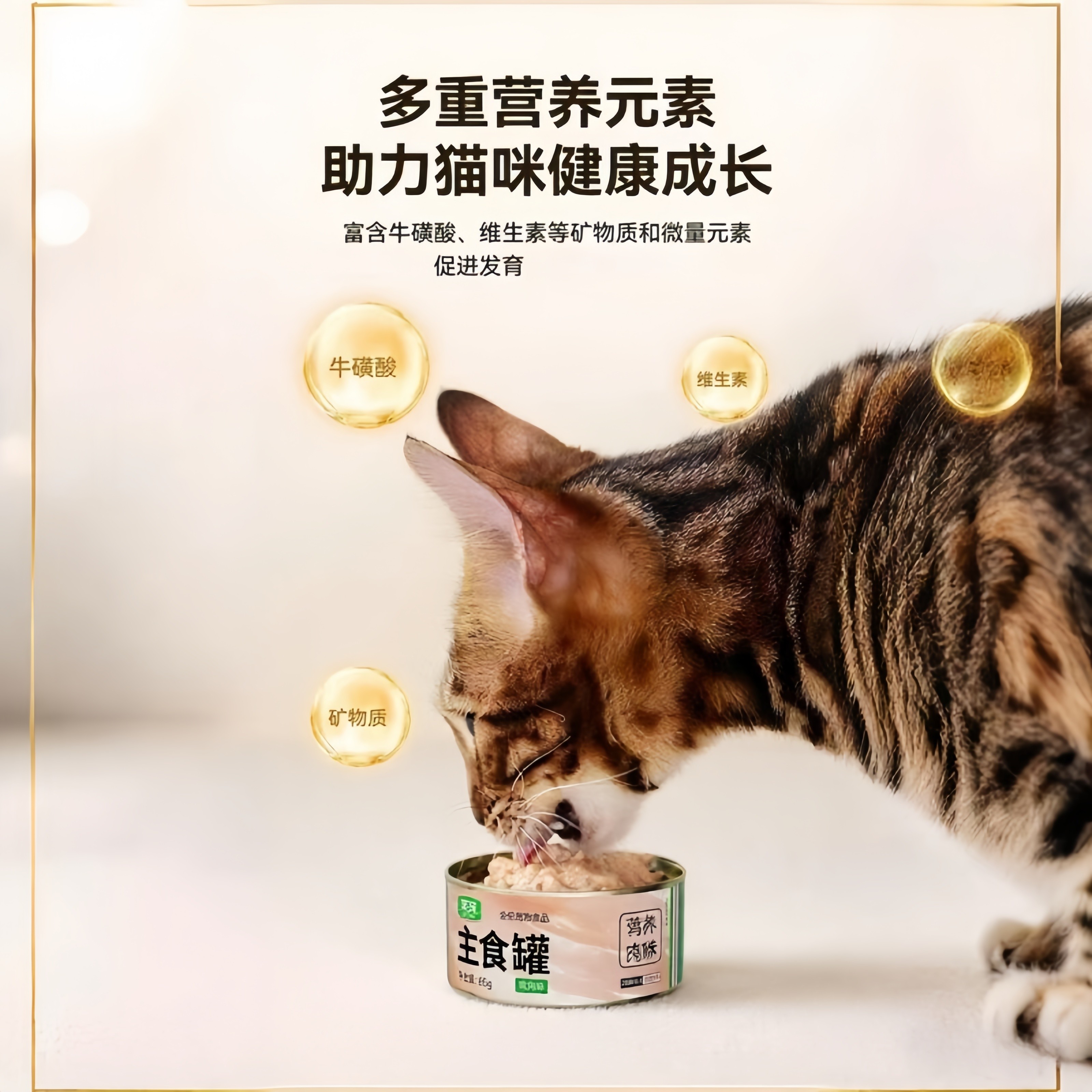 笑宠全价主食猫罐头成幼猫湿粮营养补水增肥发腮鸡肉罐头24罐整箱,淘宝优惠券,粉丝福利购,淘宝优惠卷